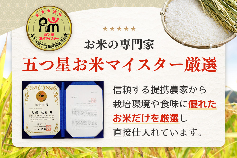 ã什å7å¹Žç£æ°ç±³ãäºãæãç±³ãã€ã¹ã¿ãŒå³éž ããã³ãã çç±³ 5kgãããã³ãã ç±³ ãç±³ ãã¯ã ã飯 çç±³ ãã©ã³ã ã©ã³ãã³ã° ç¹A çç£ç±³ çŸå³ãã kome okome shinnmai shinmaiãK103013