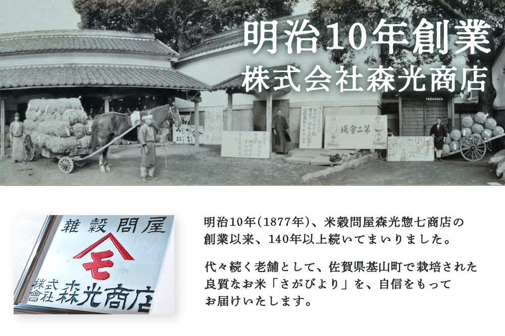 縲3繧ォ譛亥ョ壽悄萓ソ縲鯛2010蟷エ縺九i騾」邯夂音A蜿苓ウ樞 莉、蜥7蟷エ逕」 縺輔′縺ウ繧医j 10kg(5kgテ2陲)縲千音A邀ウ 縺輔′縺ウ繧医j 邀ウ 縺顔アウ 縺斐ッ繧 縺秘」ッ 逋ス邀ウ 邊セ邀ウ 繝悶Λ繝ウ繝 繝ゥ繝ウ繧ュ繝ウ繧ー 逵檎肇邀ウ 鄒主袖縺励> kome okome 蝓コ螻ア逕コ縲銭082303
