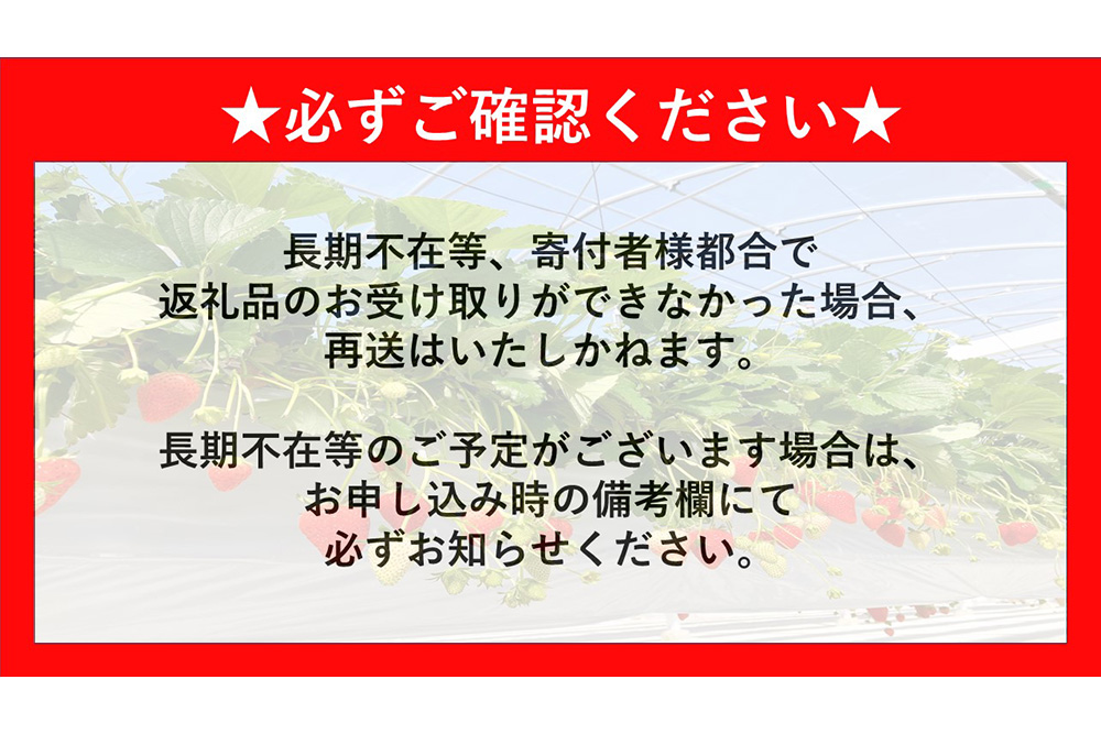 【農場直送いちご】いちご2品種食べ比べ(約280g×4P)【ふるさと納税 基山町産 イチゴ 朝採れ 完熟果 KBCテレビ「ふるさとwish」で紹介されました】K100010