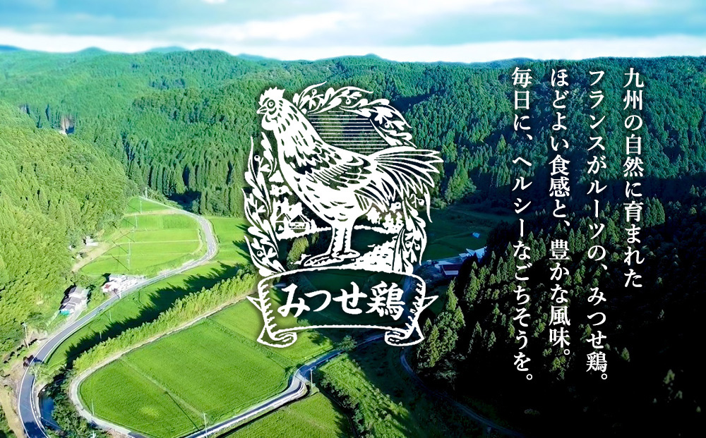 佐賀県産みつせ鶏 焼き三昧(5種)【焼き鳥 酒の肴 居酒屋 おつまみ 飲み会 塩焼 柚子胡椒焼き 黒胡椒焼き 七味焼き 塩こうじ漬け 低脂質 ヘルシー 旨味成分 柔らか 歯ごたえ】K059045