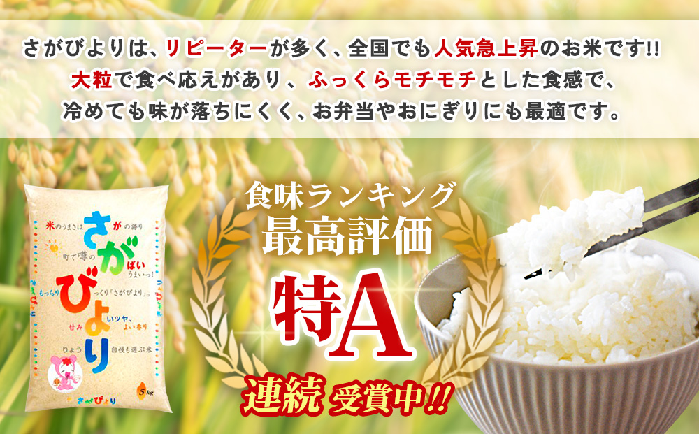 令和6年産 さがびより 5kg【さがびより 米 お米 ごはん ご飯 白米 精米 ブランド ランキング 特A米 県産米 美味しい】A2-J082004