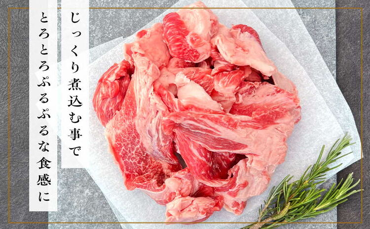 《佐賀牛》梁井 コラーゲンたっぷり スジ肉盛り合わせ 1kg【佐賀牛 スジ肉 コラーゲン ぷるぷる やわらか 煮込み料理 美味しい ブランド肉】 A5-J081004