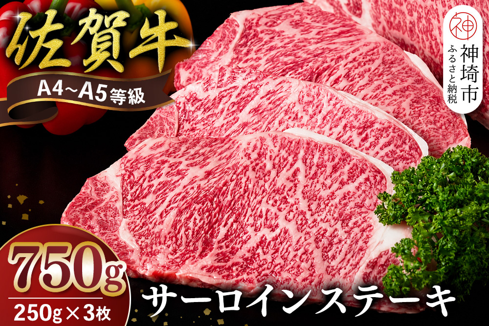 佐賀牛 サーロインステーキ 250g×3枚【霜降りサーロイン ステーキ用 贈答用 高級肉 濃厚 サシ 美味しい 絶品 やわらか クリスマス パーティー イベント お祝い ブランド肉】K030147