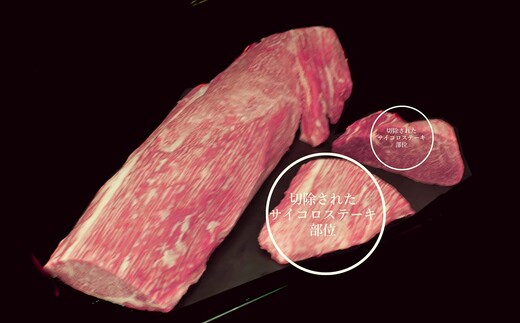 佐賀牛 ヒレ不揃いサイコロステーキ 600g【佐賀牛 牛肉 サイコロステーキ ヒレ肉 不揃い ステーキ肉 サシ カレー 角切り 訳あり ブランド肉 BBQ バーベキュー】 C-J030017