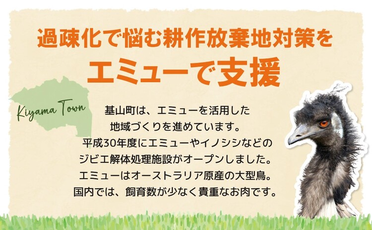 エミューハム3種セット【エミュー 基山産 高タンパク 高鉄分 低カロリー ヘルシー ジビエ 酒の肴 おつまみ 貴重肉 鉄分補給 食べ比べ】 A4-J006001