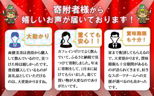 【2か月定期便】爽健美茶 2L×6本(1ケース)【コカコーラ カフェインゼロ 香ばしい おいしい ブレンド茶 お茶 ハトムギ 玄米 大麦 ドクダミ ハブ茶 チコリー 麦芽 植物素材 飲料 お徳用 ペットボトル 備蓄 防災 熱中症】K090499