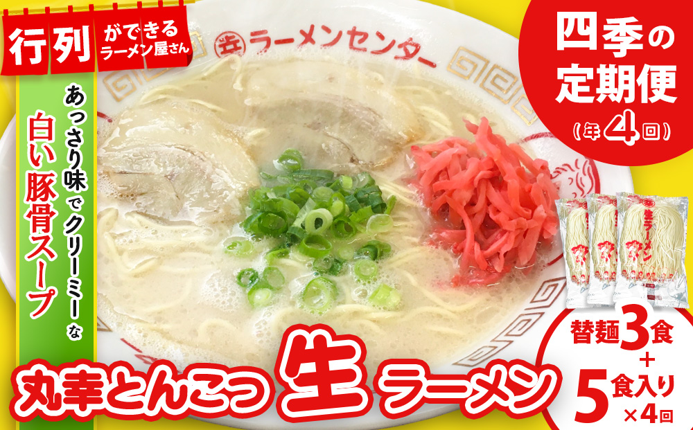 【年4回 四季の定期便】丸幸ラーメン(とんこつ生) 5食＋替麺3食のセット【ラーメン 生ラーメン とんこつ 豚骨スープ 九州とんこつ 替麺 替え玉 おかわり あっさり 行列】E-J015302