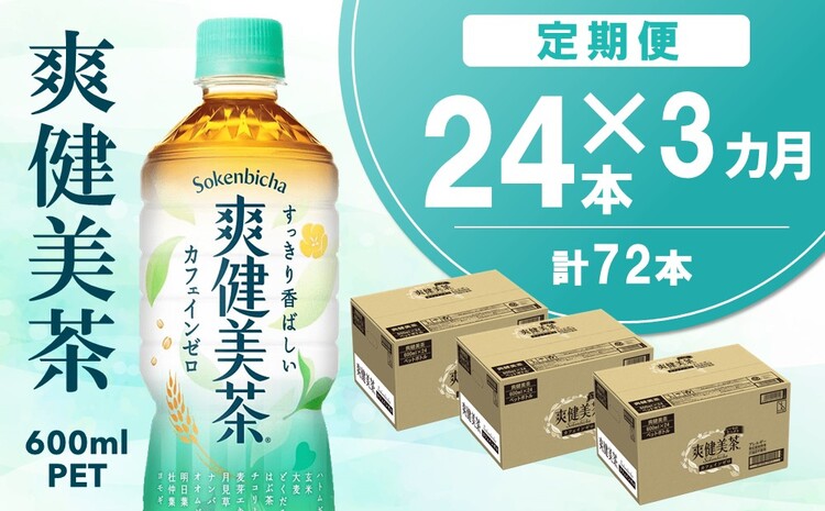 【3カ月定期便】爽健美茶 600mlPET×24本(合計3ケース)【コカコーラ カフェインゼロ 定期便 香ばしい おいしい 国産 お茶 ハトムギ 玄米 月見草 大麦 ドクダミ 飲料 ペットボトル】 B6-J090374