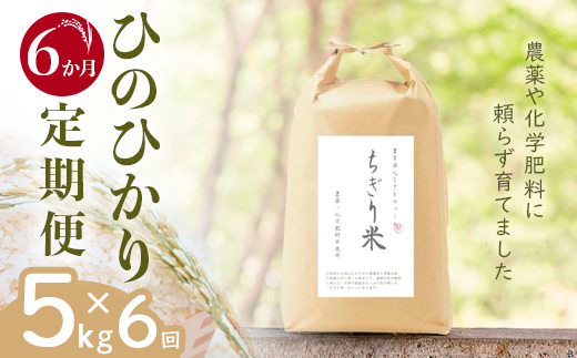 【令和6年新米・先行受付】《6か月定期便》無農薬米 ひのひかり ちぎり米 5kg×6回【佐賀県産 米 コメ ヒノヒカリ 夢しずく 精米 白米】I3-J091301