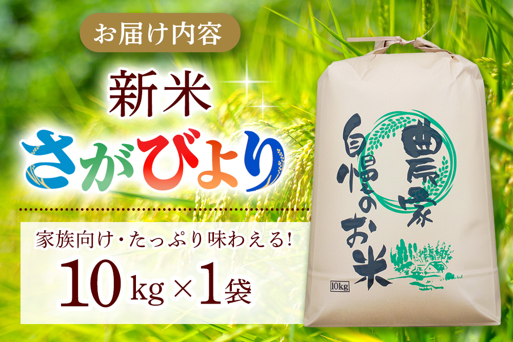 【連続特A受賞米】佐賀県基山町の米・令和7年産 さがびより(精米)10kg〈生産者直送〉【米 ブランド米 特A 冷めても美味い 10kg ふるさと納税 kome okome shinnmai shinmai】K094002