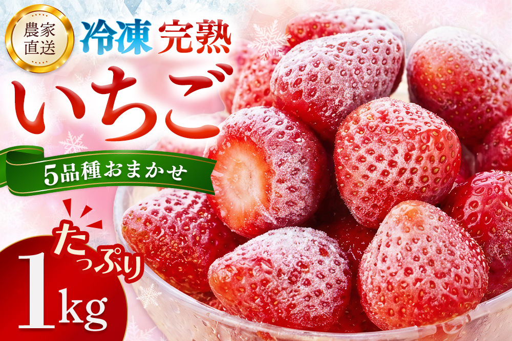 冷凍完熟いちご1kg【完熟いちご 冷凍いちご イチゴ 苺 産地直送 農場直送 ヘタ無し げんき農場 よつぼし おいCベリー かおり野 紅ほっぺ 恋みのり】K100039