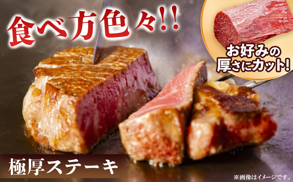 佐賀牛 ヒレシャトーブリアンブロック 1kg(500g×2本)【幻のお肉 希少価値 高級佐賀牛 ヒレ肉 中央部分 ダイヤモンドカット とろける口当たり ローストビーフ ステーキ 焼肉 最高級部位】K030135