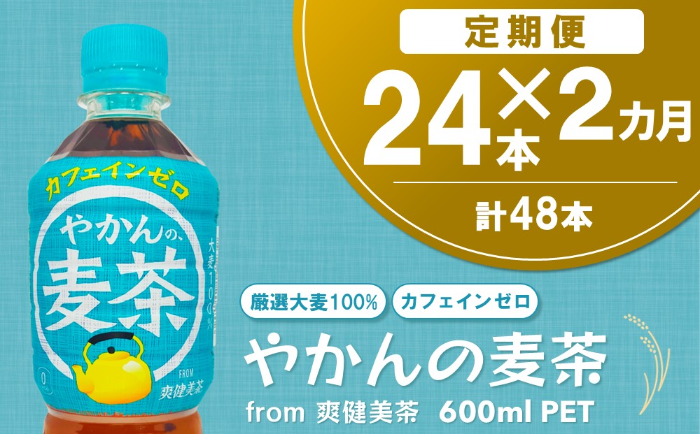 【2か月定期便】やかんの麦茶 from 爽健美茶 600mlPET(24本)【麦茶 焙煎 夏バテ予防 熱中症対策 カフェインゼロ ミネラル 600ml ペットボトル ペット 常備 備蓄 スッキリ イベント】A5-J090382