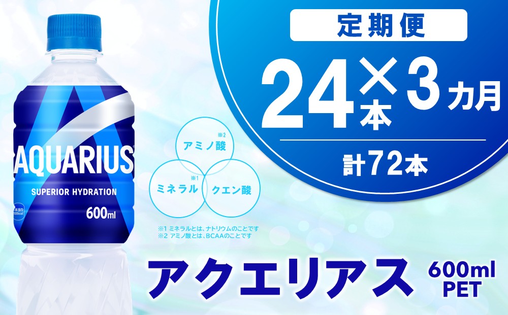 【3カ月定期便】アクエリアス 600mlPET×24本(1ケース)【コカコーラ 熱中症対策 スポーツ飲料 スポーツドリンク 水分補給 カロリーオフ ペットボトル 健康 スッキリ ミネラル アミノ酸 クエン酸 リフレッシュ 常備 保存 買い置き】K090526