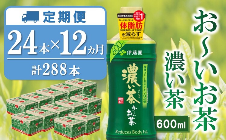 【12か月定期便】おーいお茶濃い茶 600ml×24本(合計12ケース)【伊藤園 お茶 緑茶 濃い 渋み まとめ買い 箱買い ケース買い カテキン 2倍 体脂肪】 I8-J071326