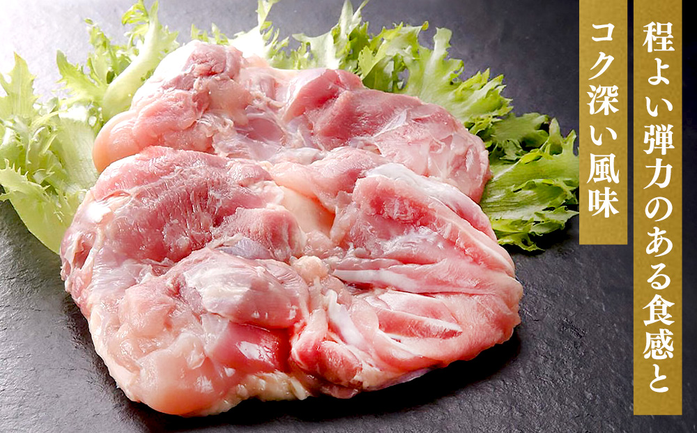 【6カ月定期便】佐賀県産みつせ鶏もも正肉 3枚入×2袋(計12袋)【チキンステーキ 唐揚げ 照り焼き もも肉 美味しい 低脂質 ヘルシー 旨味成分 柔らか 歯ごたえ ジューシー ボリューム お弁当 小分け 冷凍 定期便 6か月定期】K059306