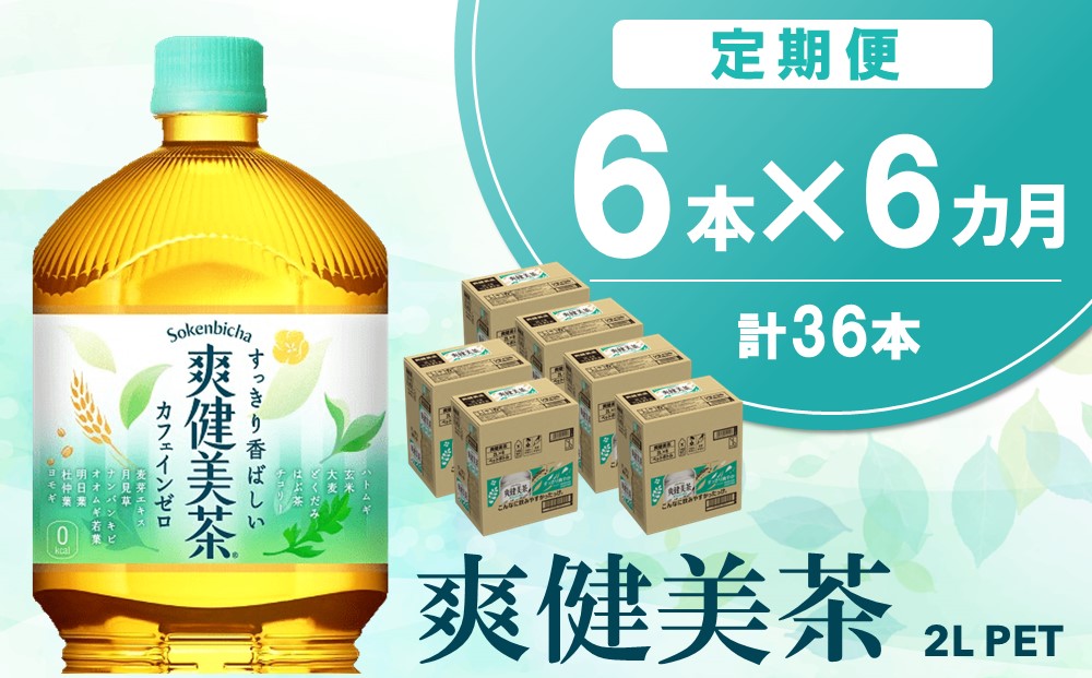 【6か月定期便】爽健美茶 2L×6本(1ケース)【コカコーラ カフェインゼロ 香ばしい おいしい ブレンド茶 お茶 国産 ハトムギ 玄米 大麦 ドクダミ ハブ茶 チコリー 麦芽 植物素材 飲料 お徳用 ペットボトル】C1-J090354