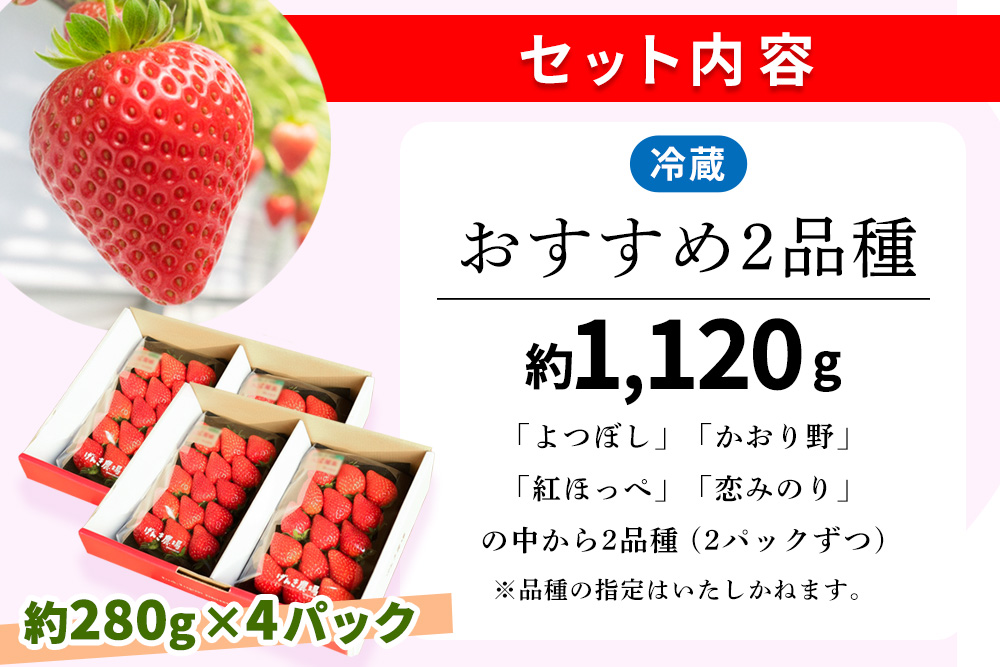 【農場直送いちご】いちご2品種食べ比べ(約280g×4P)【ふるさと納税 基山町産 イチゴ 朝採れ 完熟果 KBCテレビ「ふるさとwish」で紹介されました】K100010