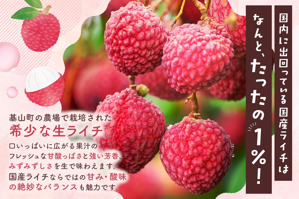 【先行受付】佐賀県産ライチ 大粒12個入(贈答用)【生ライチ ライチ 生 基山町産 贈答用 貴重 国産 大粒 新鮮 フレッシュ 肉厚 お中元 贈り物】K060012