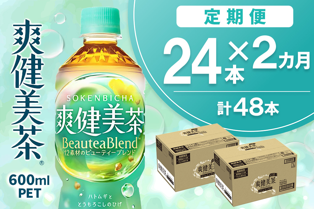 【2カ月定期便】爽健美茶 600mlPET×24本(合計2ケース)【コカコーラ カフェインゼロ 定期便 香ばしい おいしい お茶 ハトムギ 玄米 月見草 大麦 ドクダミ 飲料 ペットボトル 備蓄 防災 熱中症】K090455