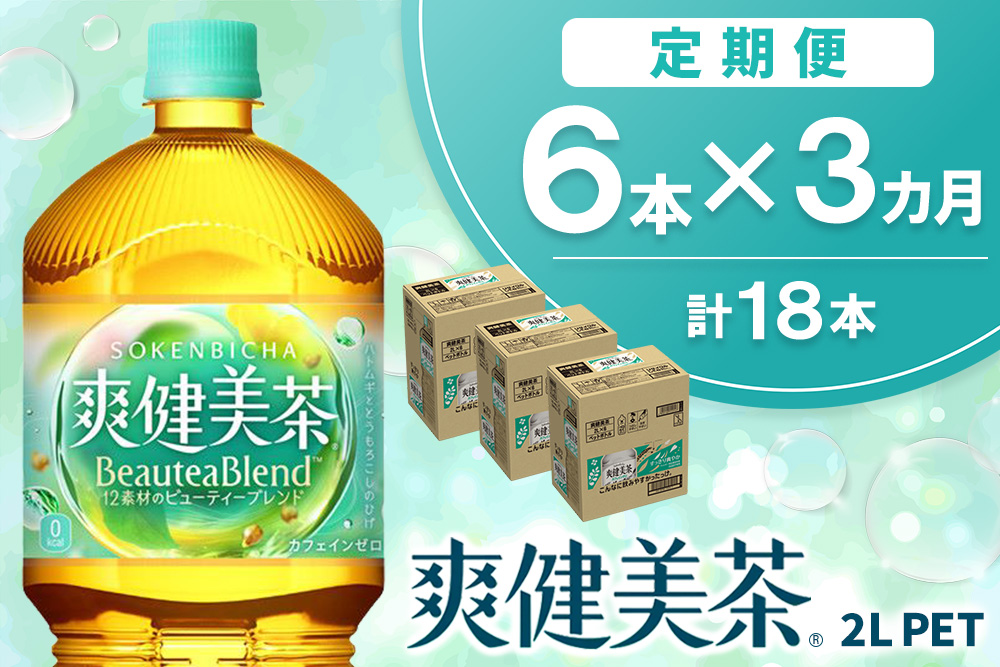 【3か月定期便】爽健美茶 2L×6本(1ケース)【コカコーラ カフェインゼロ 香ばしい おいしい ブレンド茶 お茶 ハトムギ 玄米 大麦 ドクダミ ハブ茶 チコリー 麦芽 植物素材 飲料 ペットボトル】K090500