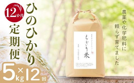 【令和6年新米・先行受付】《12か月定期便》無農薬米 ひのひかり ちぎり米 5kg×12回【佐賀県産 米 コメ ヒノヒカリ 夢しずく 精米 白米】JH6-J091302