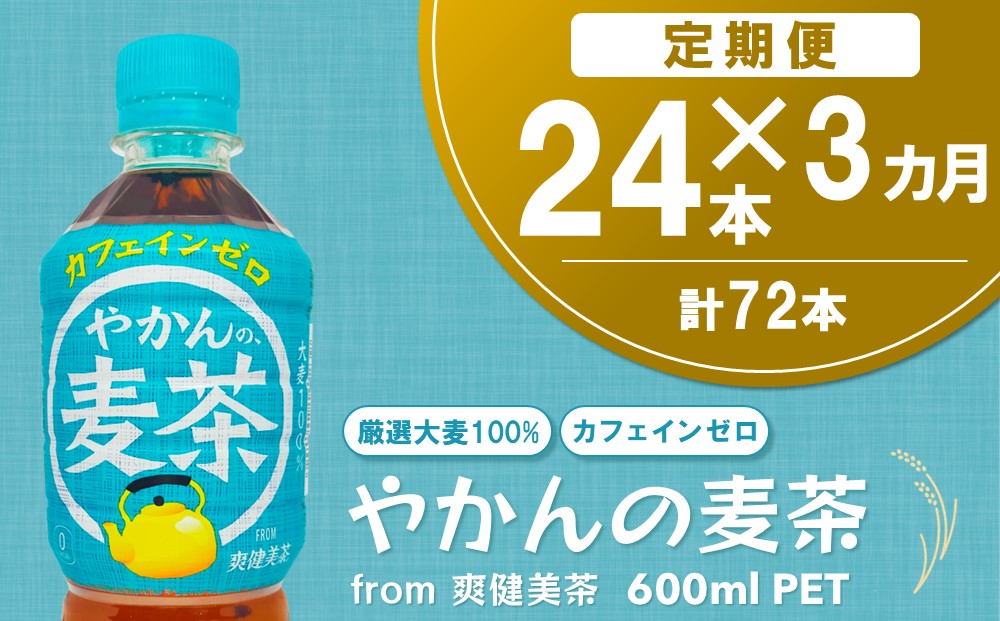 【3か月定期便】やかんの麦茶 from 爽健美茶 600mlPET(24本)【麦茶 焙煎 夏バテ予防 熱中症対策 カフェインゼロ ミネラル 600ml ペットボトル ペット 常備 備蓄 スッキリ イベント】B2-J090383