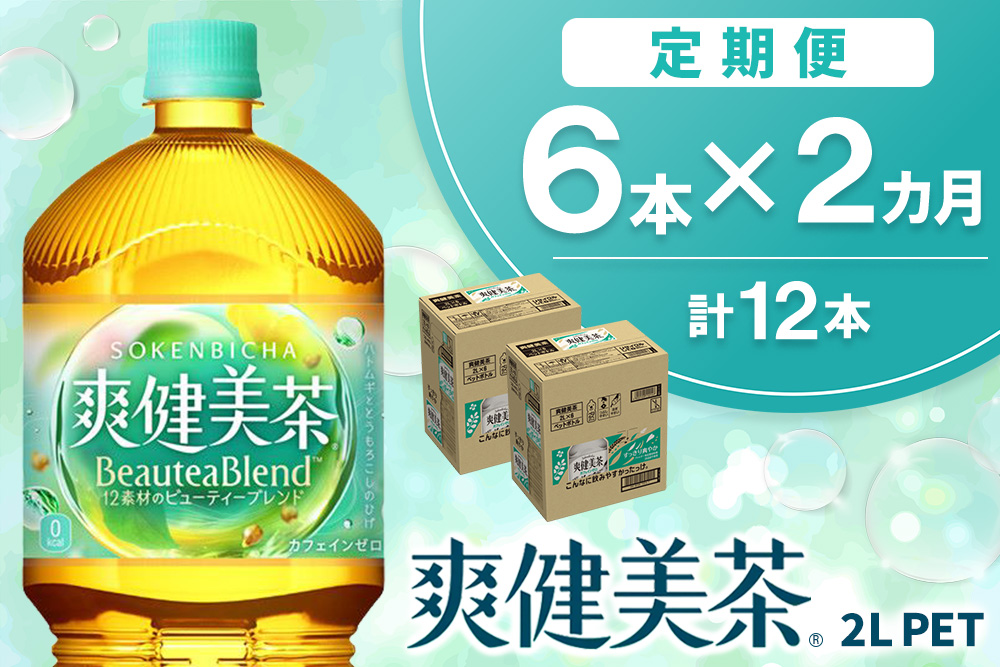 【2か月定期便】爽健美茶 2L×6本(1ケース)【コカコーラ カフェインゼロ 香ばしい おいしい ブレンド茶 お茶 ハトムギ 玄米 大麦 ドクダミ ハブ茶 チコリー 麦芽 植物素材 飲料 お徳用 ペットボトル 備蓄 防災 熱中症】K090499