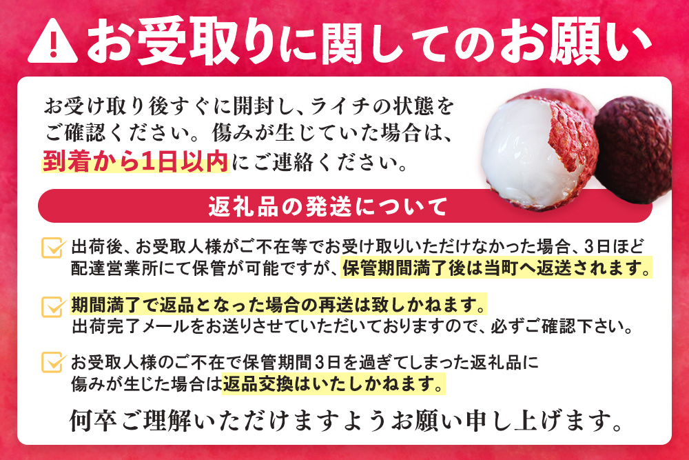 【先行受付】佐賀県産ライチ 大粒12個入(贈答用)【生ライチ ライチ 生 基山町産 贈答用 貴重 国産 大粒 新鮮 フレッシュ 肉厚 お中元 贈り物】K060012