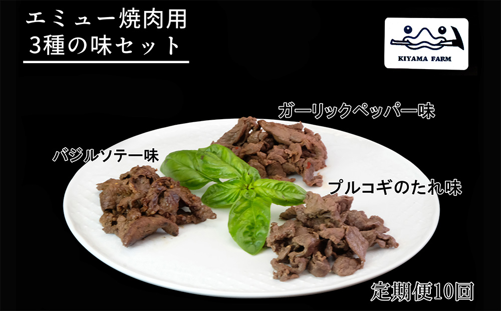 【10か月定期便】エミュー焼肉用3種の味セット【エミュー 基山産 高タンパク 高鉄分 低カロリー ヘルシー ジビエ 貴重肉 鉄分補給】JB2-J006303