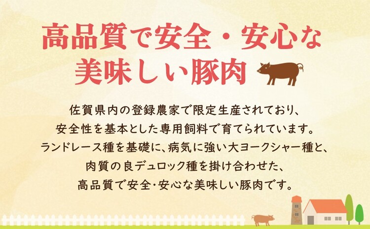 肥前さくらポーク詰合せAセット(ロースとんかつ用・ロース生姜焼き用)【JA トンカツ 生姜焼き 美味しい やわらか ジューシー 安全 高品質 ビタミン タンパク質豊富 限定生産 冷凍】 A2-J012007