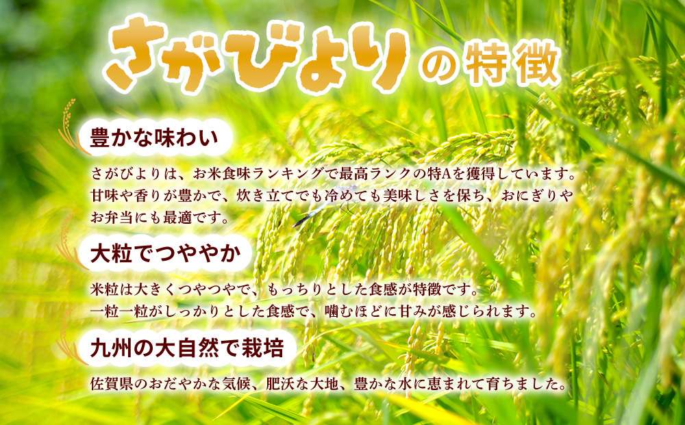 【連続特A受賞米】佐賀県基山町の米・令和6年産 新米 さがびより(精米)5kg〈生産者直送〉【米 ブランド米 特A 冷めても美味い 5kg ふるさと納税】A3-J094001