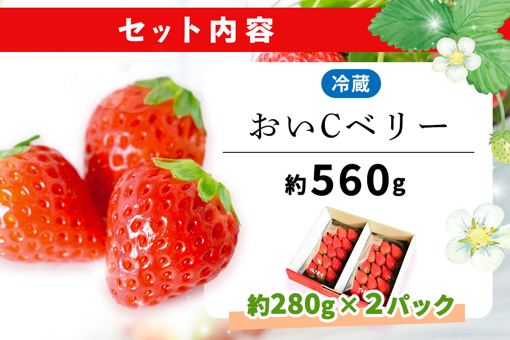【農場直送いちご】おいCベリー(約280g×2P)【ふるさと納税 基山町産 いちご イチゴ 朝採れ 完熟果 KBCテレビ「ふるさとwish」で紹介されました】K100033
