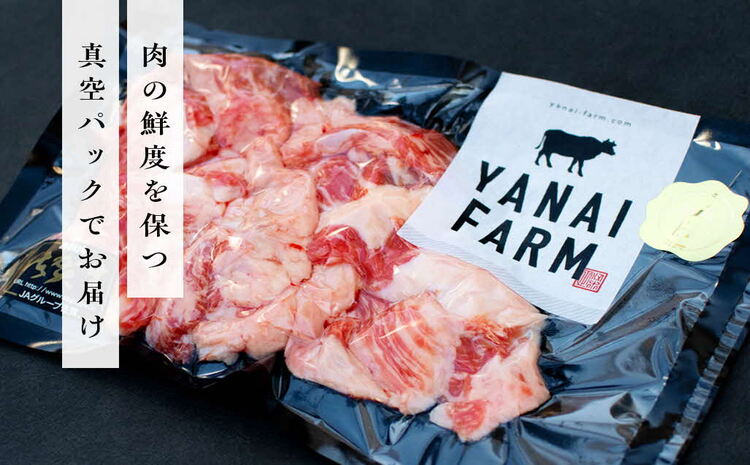 《佐賀牛》梁井 コラーゲンたっぷり スジ肉盛り合わせ 1kg【佐賀牛 スジ肉 コラーゲン ぷるぷる やわらか 煮込み料理 美味しい ブランド肉】 A5-J081004