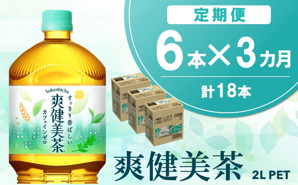 【3か月定期便】爽健美茶 2L×6本(1ケース)【コカコーラ カフェインゼロ 香ばしい おいしい ブレンド茶 お茶 国産 ハトムギ 玄米 大麦 ドクダミ ハブ茶 チコリー 麦芽 植物素材 飲料 お徳用 ペットボトル】A6-J090353