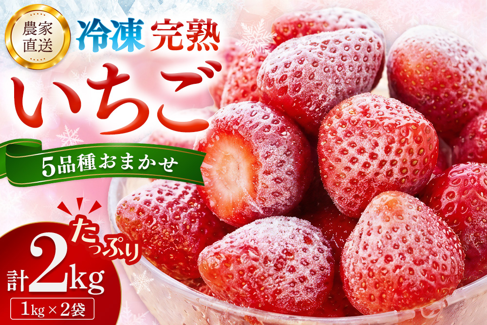 冷凍完熟いちご2kg(1kg×2袋)【完熟いちご 冷凍いちご イチゴ 苺 産地直送 農場直送 ヘタ無し げんき農場 よつぼし おいCベリー かおり野 紅ほっぺ 恋みのり 小分け】K100041