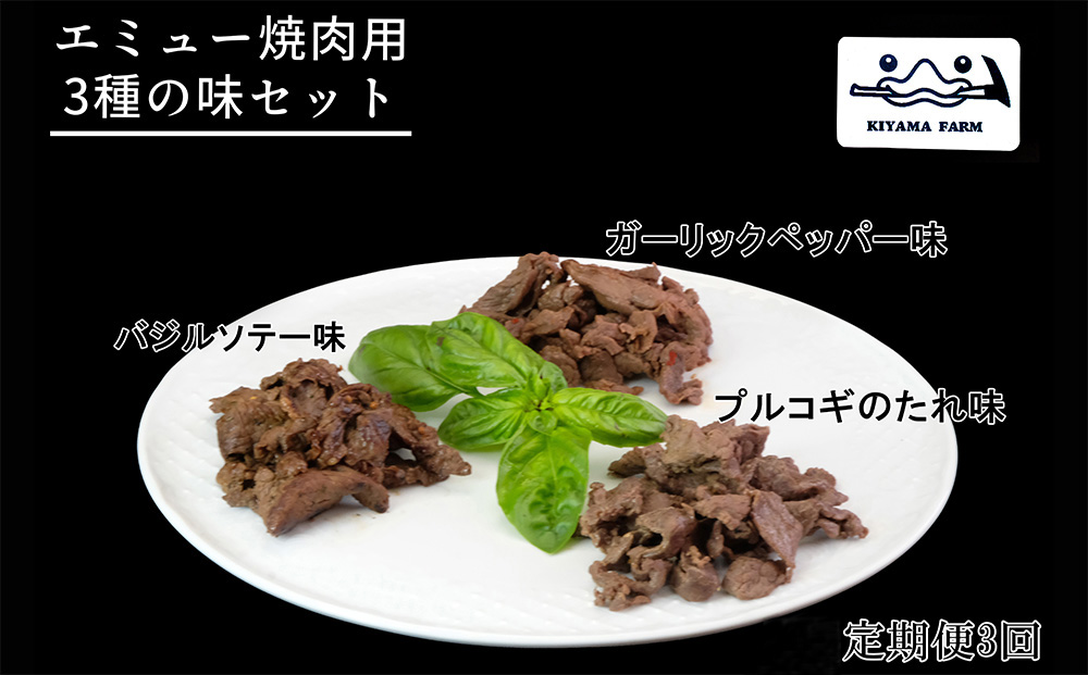 【3か月定期便】エミュー焼肉用3種の味セット【エミュー 基山産 高タンパク 高鉄分 低カロリー ヘルシー ジビエ 貴重肉 鉄分補給】C7-J006301