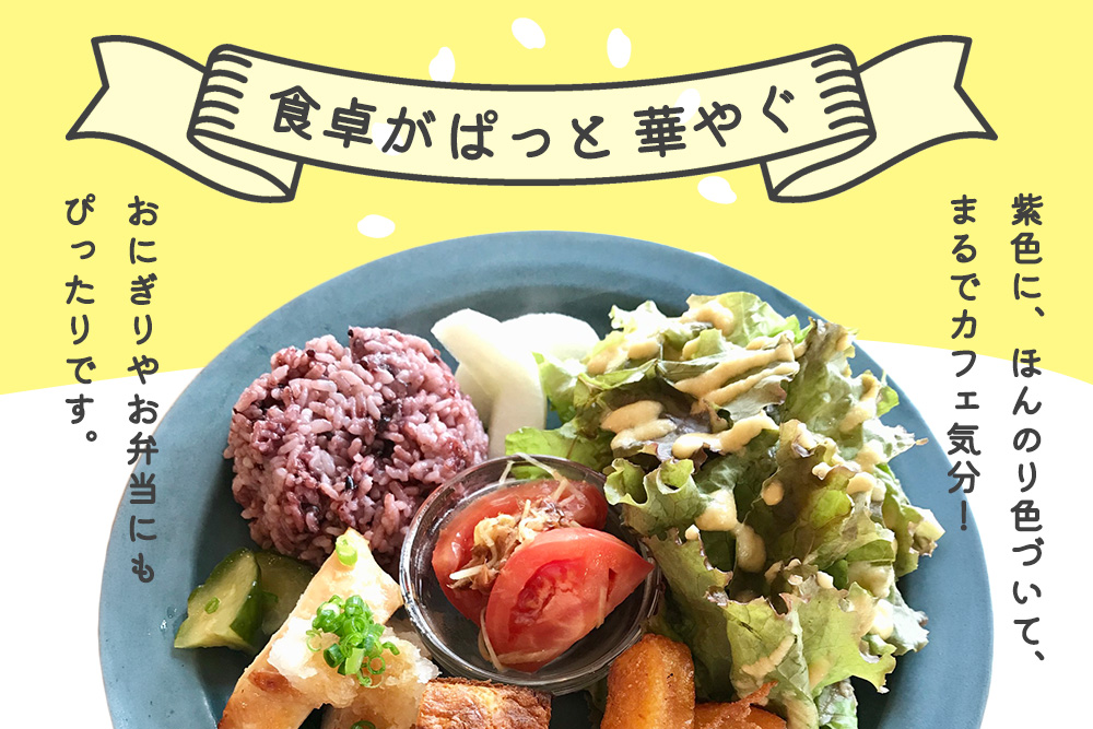 黒米500g【古代米 黒米 ポリフェノール豊富 国産雑穀 栄養価】K018038