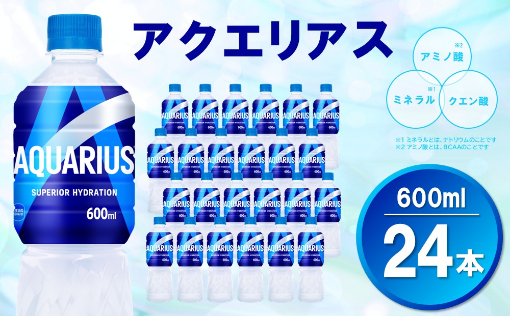 アクエリアス 600mlPET×24本(1ケース)【コカコーラ 熱中症対策 スポーツ飲料 スポーツドリンク 水分補給 カロリーオフ ペットボトル 健康 スッキリ ミネラル アミノ酸 クエン酸 リフレッシュ 常備 保存 買い置き】K090164
