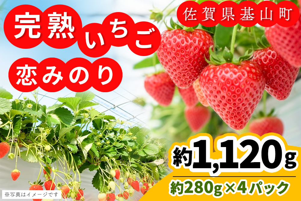 ãå
è¡åä» 2026幎1æããçºéããèŸ²å ŽçŽéïŒãæã¿ã®ã(çŽ280gÃ4P)ããµãããšçŽçš åºå±±çºç£ ãã¡ã ã€ããŽ ææ¡ã å®çæãK100008