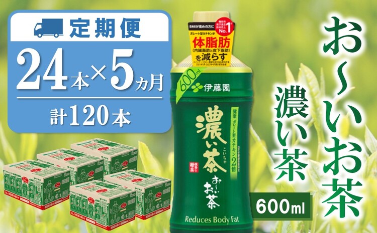 【5か月定期便】おーいお茶濃い茶 600ml×24本(合計5ケース)【伊藤園 お茶 緑茶 濃い 渋み まとめ買い 箱買い ケース買い カテキン 2倍 体脂肪】 D1-J071324