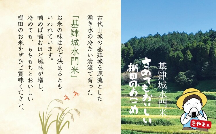 【新米】令和6年産【基肄城水門米】さめてもおいしい棚田のお米 10kg【ひのひかり 米 玄米 お米 やまつき米 モチモチ 基山町産 棚田米 10kg】B-J072003