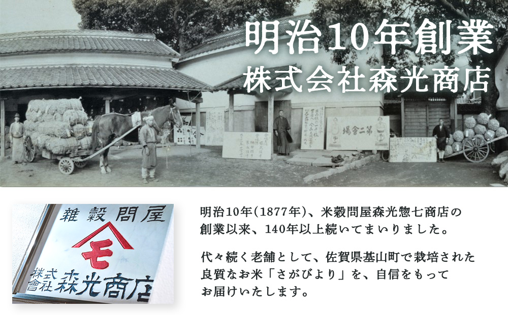 令和6年産 さがびより 5kg【さがびより 米 お米 ごはん ご飯 白米 精米 ブランド ランキング 特A米 県産米 美味しい】A2-J082004