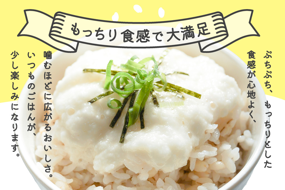 繧ュ繝ゥ繝ェ繧ゅ■鮗ヲ500g縲蝉ス占ウ逵檎肇 繧ゅ■鮗ヲ 鬟溽黄郢顔カュ 逋ス邀ウ縺ォ縺ェ縺倥 繧ッ繧サ縺悟ー代↑縺縲銭018037