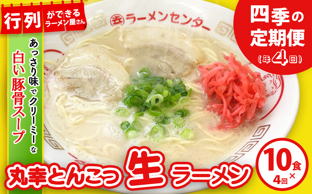 【年4回 四季の定期便】丸幸ラーメン(とんこつ生) 10食入り【ラーメン 生ラーメン とんこつラーメン 九州とんこつ とんこつ 豚骨スープ あっさり 行列】G6-J015304