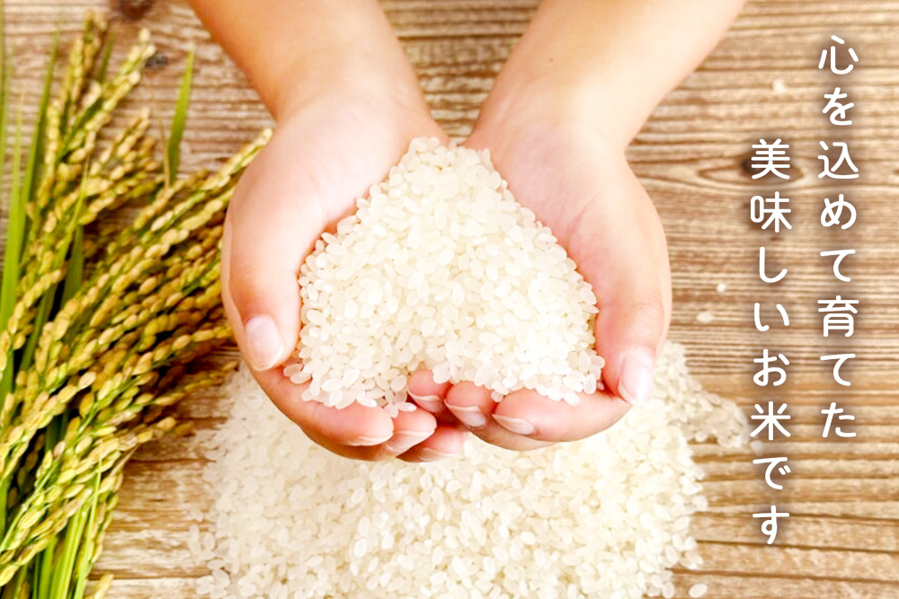 【令和7年産米】ちぎり米 5kg(「さがびより」、「ヒノヒカリ」、「夢しずく」から1種類 選択不可)【佐賀県産 米 お米 コメ こめ 国産 美味しい kome okome】K091006