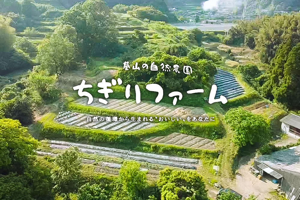 【令和7年産米】ちぎり米 5kg(「さがびより」、「ヒノヒカリ」、「夢しずく」から1種類 選択不可)【佐賀県産 米 お米 コメ こめ 国産 美味しい kome okome】K091006