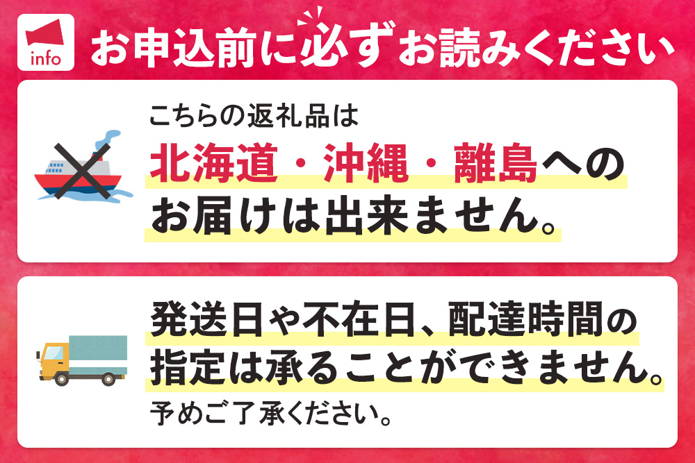 【先行受付】佐賀県産ライチ 大粒12個入(贈答用)【生ライチ ライチ 生 基山町産 贈答用 貴重 国産 大粒 新鮮 フレッシュ 肉厚 お中元 贈り物】K060012