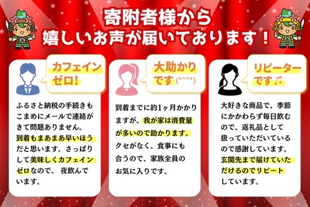 爽健美茶 600mlPET×24本(1ケース)【コカコーラ カフェインゼロ 香ばしい おいしい ブレンド茶 お茶 ハトムギ 玄米 大麦 ドクダミ植物素材 飲料 飲みきり ペットボトル 備蓄 防災 熱中症】K090169