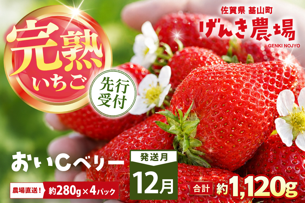 【2026年12月発送】【先行予約】【農場直送！】おいCベリー(約280g×4P)【ふるさと納税 佐賀県 基山町産 げんき農場 苺 ブランド苺 イチゴ いちご フルーツ 果物 くだもの 美味しい おいしい 甘い ストロベリー 産地直送 朝採れ 完熟果 KBCテレビ「ふるさとwish」で紹介されました】K100066